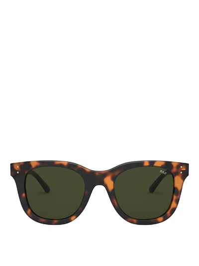 Shop Polo Ralph Lauren Tortoiseshell Wayfarer Sunglasses In Brown