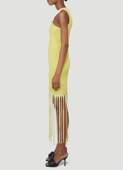 Shop Bottega Veneta Fringed Fitted Dress In Yellow