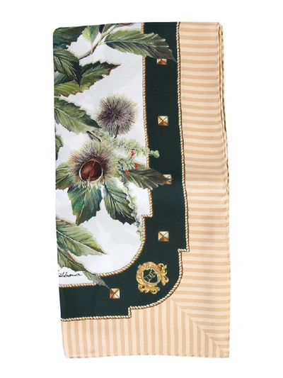 Shop Dolce & Gabbana Chestnut Print Scarf In Multi