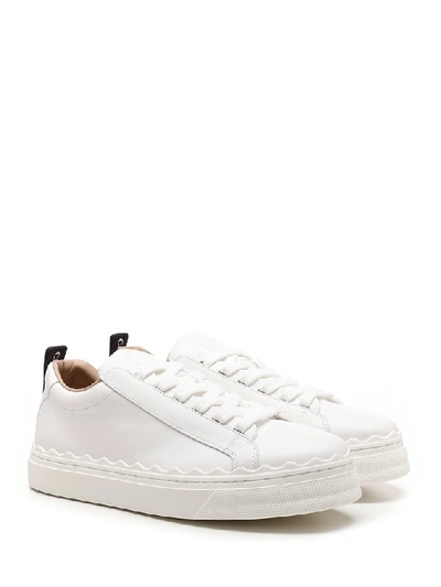 Shop Chloé Lauren Sneakers In White