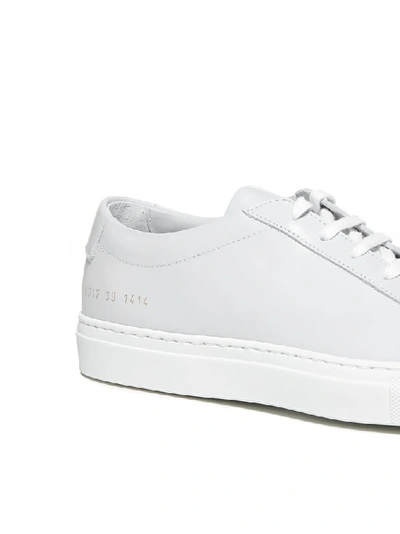 Shop Common Projects Achilles Low Sneakers In Grey