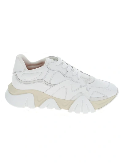 Shop Versace Squalo Sneakers In White