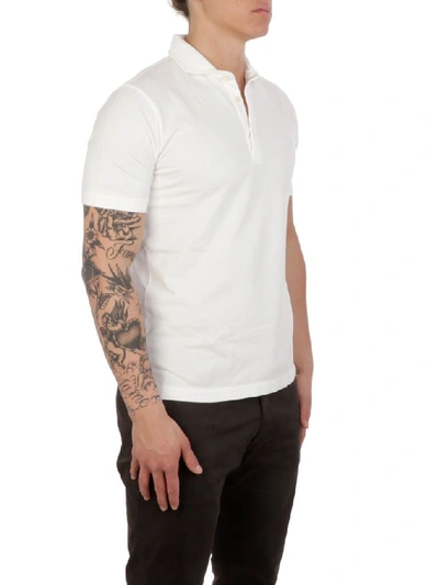 Shop Altea Men's White Cotton Polo Shirt