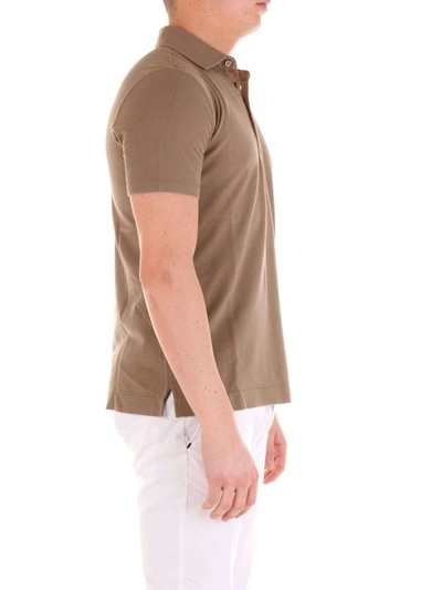 Shop Cruciani Men's Brown Cotton Polo Shirt