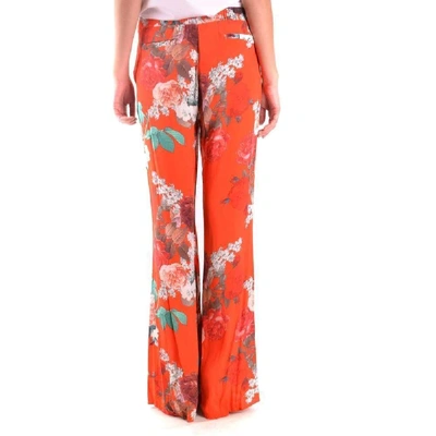 Shop Aniye By Women's Multicolor Viscose Pants