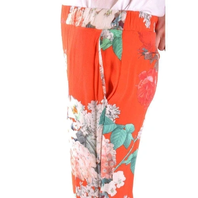 Shop Aniye By Women's Multicolor Viscose Pants