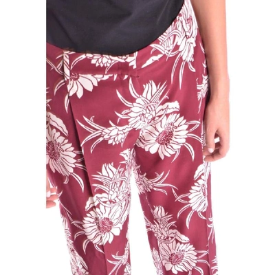 Shop Prada Women's Burgundy Cotton Pants