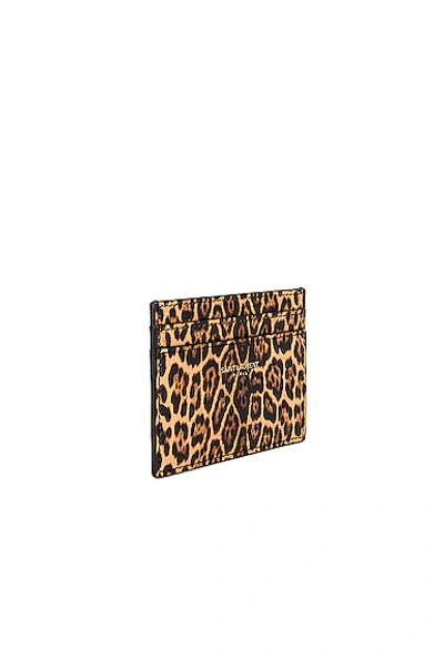 Shop Saint Laurent Card Case In Toffee & Naturale