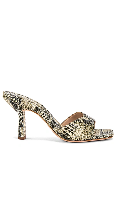 Shop Schutz Posseni Mule In Natural Snake