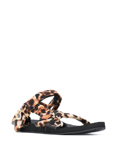 Shop Arizona Love Trekky Fun Leopard Sandals In Black