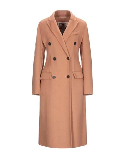 Shop High By Claire Campbell Coats In Camel
