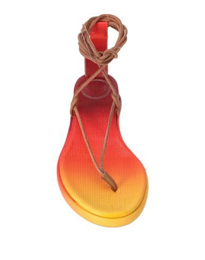 Chloé Toe Strap Sandals In Red