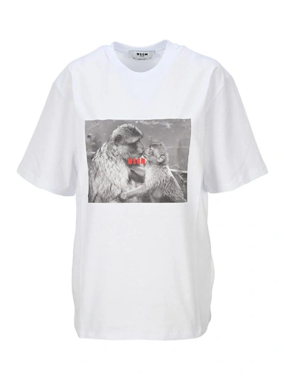 Shop Msgm Monkey Kiss T-shirt In White