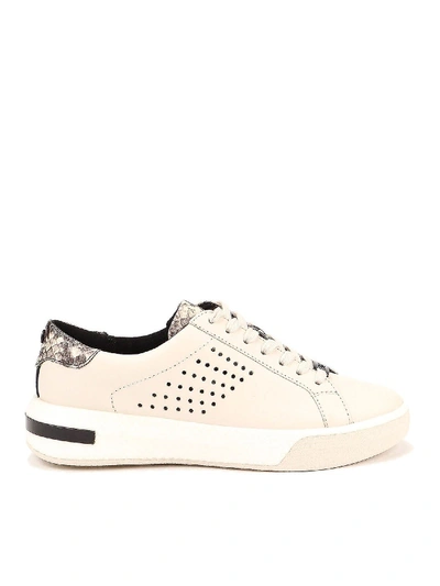 Shop Michael Kors Codie Sneakers In Cream Color