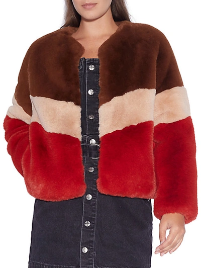 Shop Apparis Women's Brigitte Colorblock Faux Fur Jacket In Chocolate Sand
