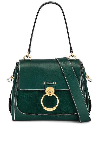 Shop Chloé Small Tess Suede Day Bag In Rain Forest