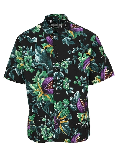 Msgm Shirts In Black Purple Green