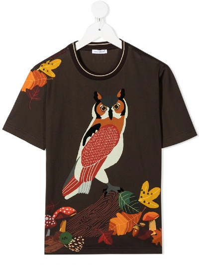 Shop Dolce & Gabbana Owl-print T-shirt In Brown