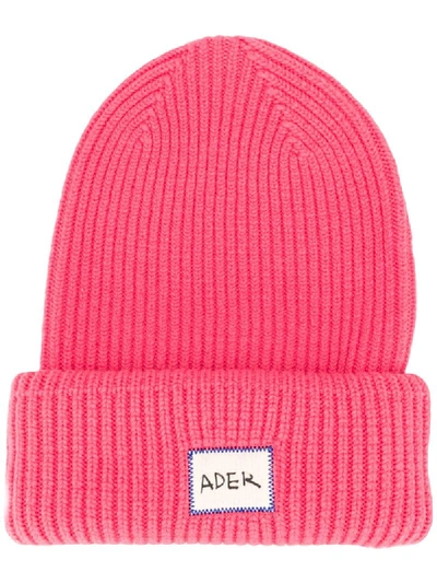 Shop Ader Error Ribbed Logo Beanie In Pink