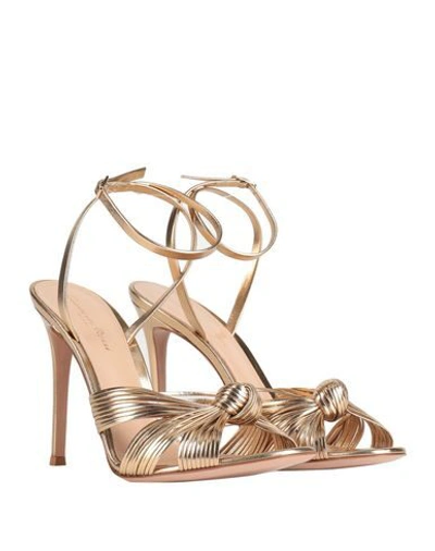 Shop Gianvito Rossi Woman Sandals Gold Size 7.5 Soft Leather