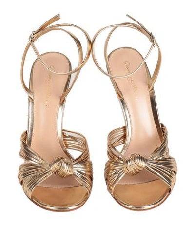 Shop Gianvito Rossi Woman Sandals Gold Size 7.5 Soft Leather