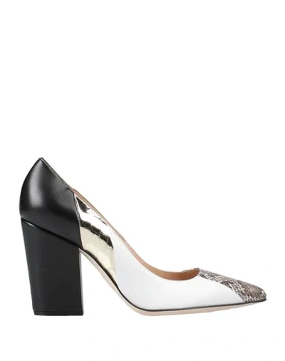 Sergio Rossi Pumps In Khaki