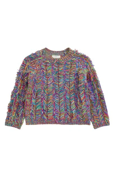 Shop Stella Mccartney Multicolor Fringe Sweater
