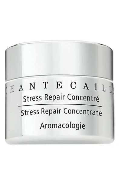 Chantecaille Stress Repair Concentrate Eye Cream, 0.5 oz