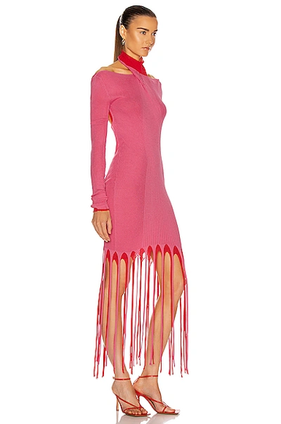 Shop Bottega Veneta Rib Fringe Cold Shoulder Dress In Candyfloss & Fire Engine