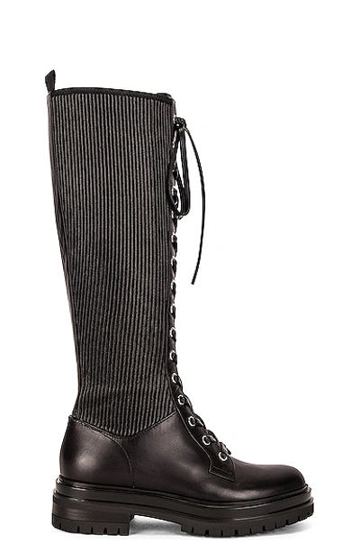 Shop Gianvito Rossi Lace Up Boots In Black