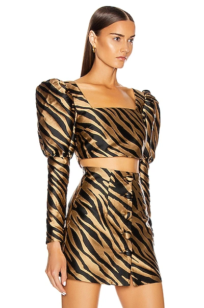 Shop Andamane Eloise Crop Top In Beige Zebra