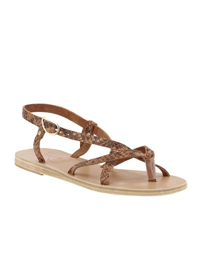 Shop Ancient Greek Sandals Women's Brown Leather Sandals