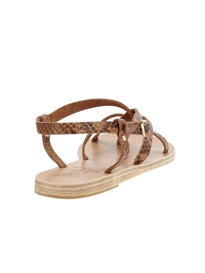 Shop Ancient Greek Sandals Women's Brown Leather Sandals