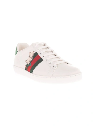 Shop Gucci Women's White Leather Sneakers