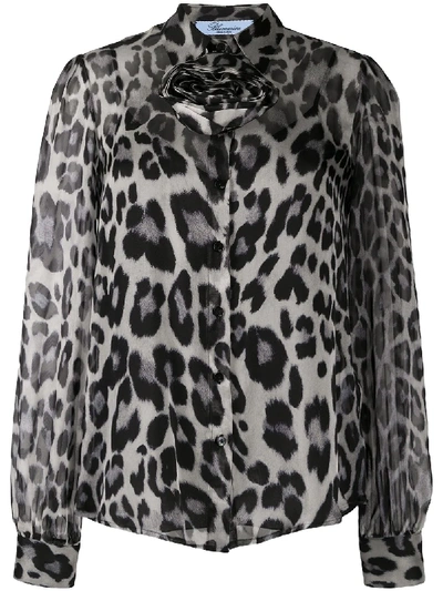 Shop Blumarine Sheer Leopard Print Shirt In Black