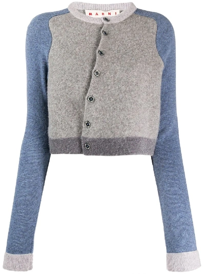 Shop Marni Contrast Sleeves Cardigan In Grey