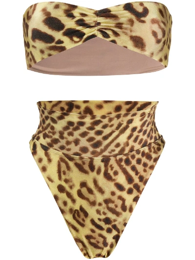 Shop Adriana Degreas Leopard-print Bikini Set In Brown
