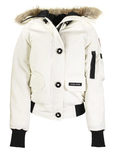 Shop Canada Goose Chilliwack Bomber Jacket White