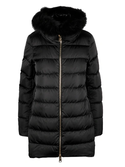 Shop Herno Fur-detailed Padded Jacket