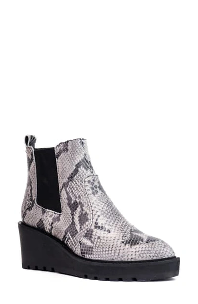 Shop Cecelia New York Gemma Boot In Snake Print Leather