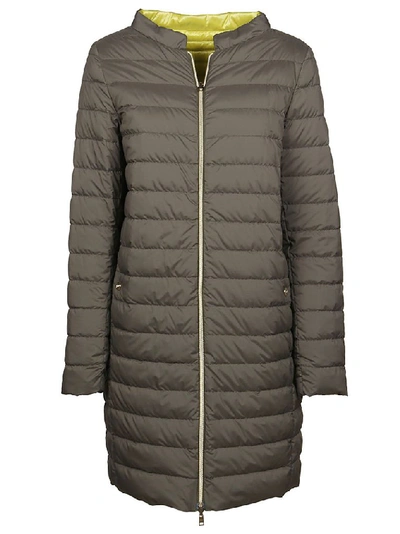 Shop Herno Women's Green Polyamide Down Jacket