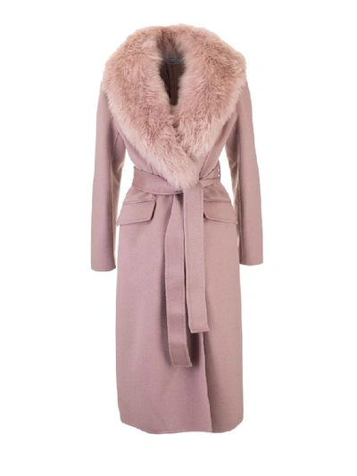 Shop Prada Women's Pink Wool Coat