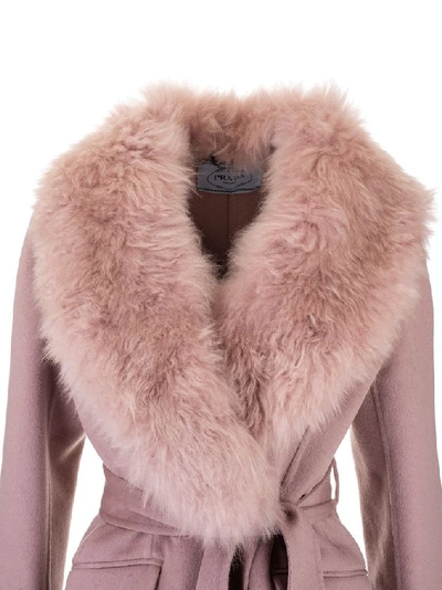 Shop Prada Women's Pink Wool Coat