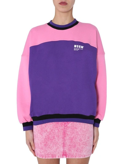 Shop Msgm Women's Purple Cotton Sweatshirt