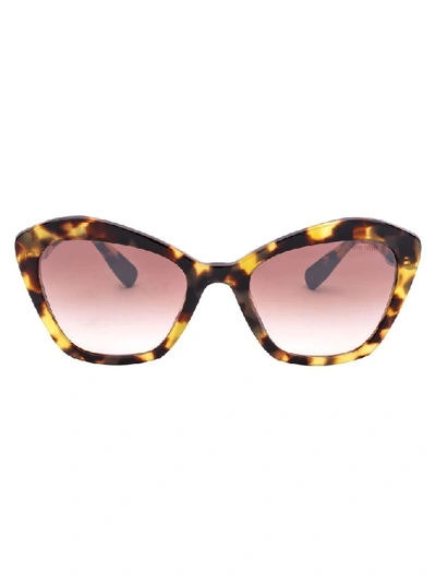 Shop Miu Miu Women's Brown Acetate Sunglasses