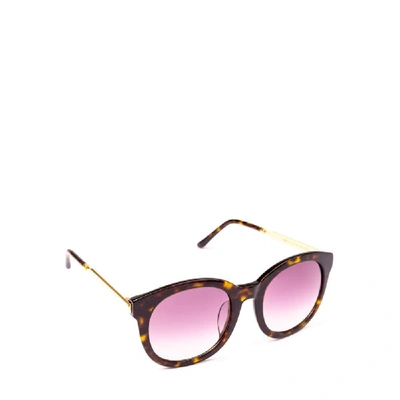 Shop Spektre Women's Brown Acetate Sunglasses