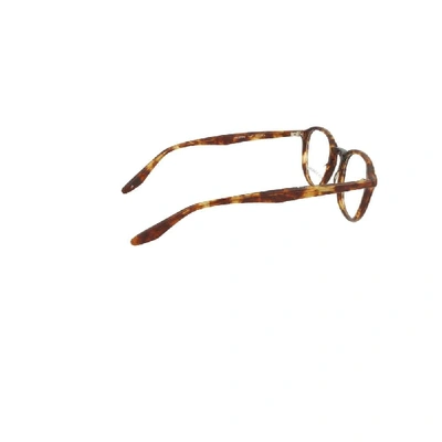 Shop Barton Perreira Women's Brown Acetate Glasses