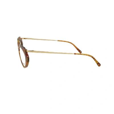 Shop Kaleos Women's Brown Acetate Glasses