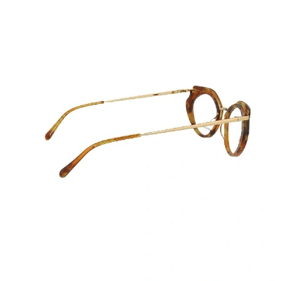 Shop Kaleos Women's Brown Acetate Glasses