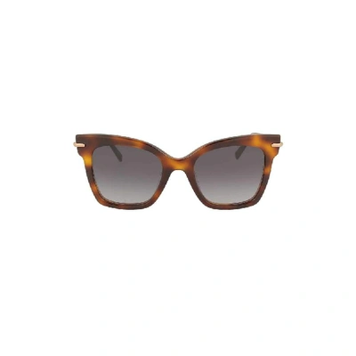 Shop Max Mara Women's Brown Acetate Sunglasses